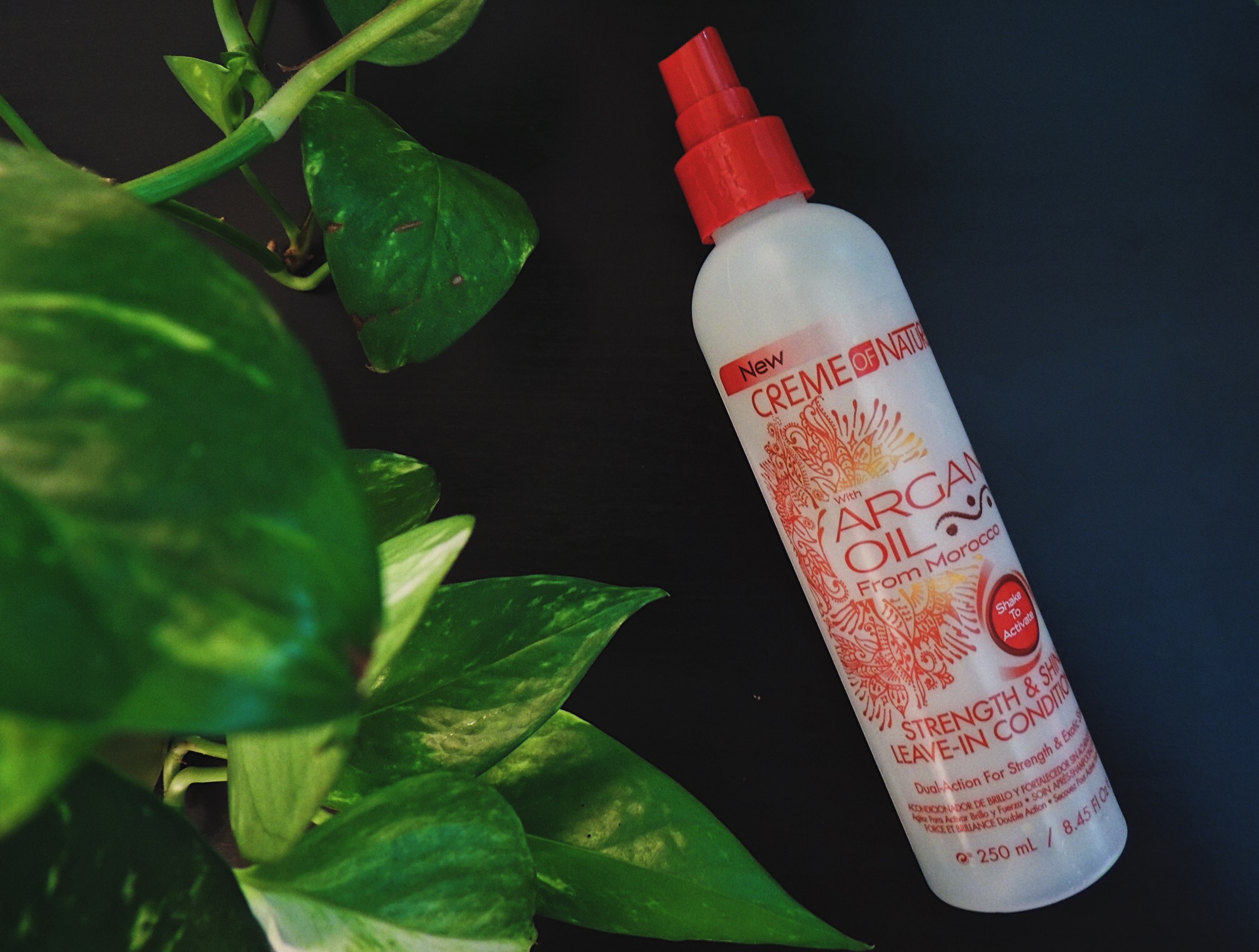 LCM-photography-natural hair products-creme-of-nature-leave-in-conditioning-spray