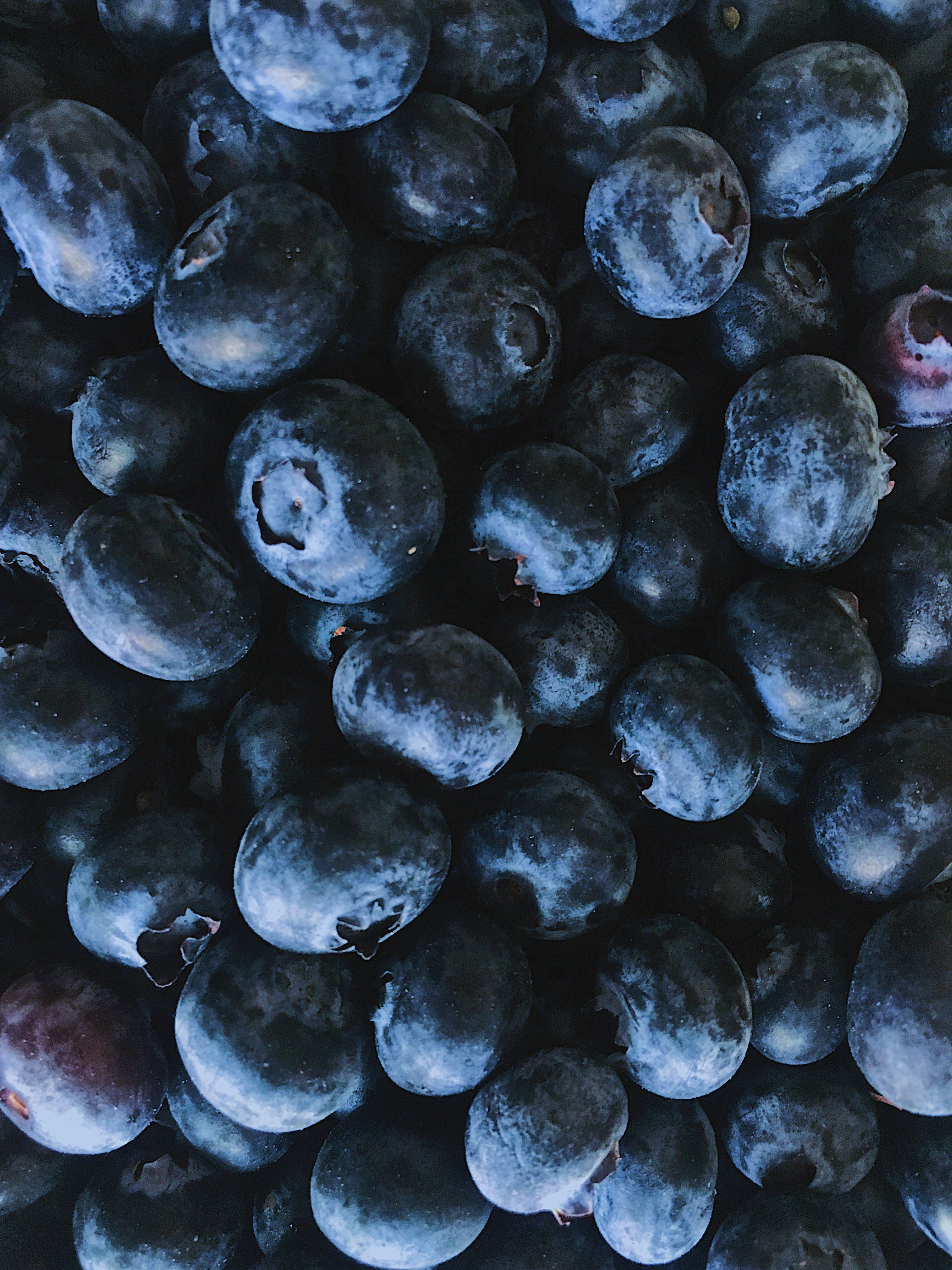 close up image of blueberries