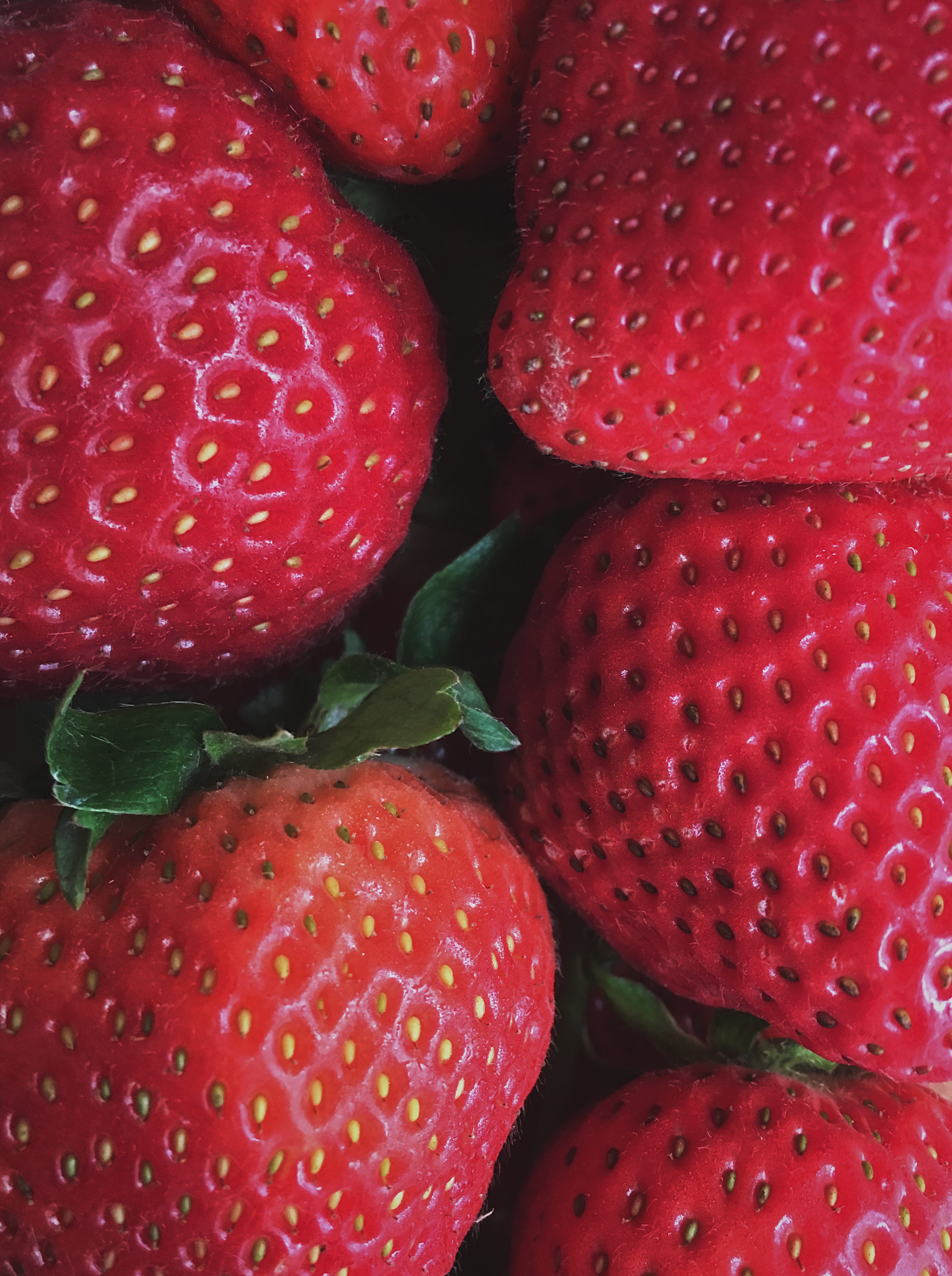 close up image of strawberries