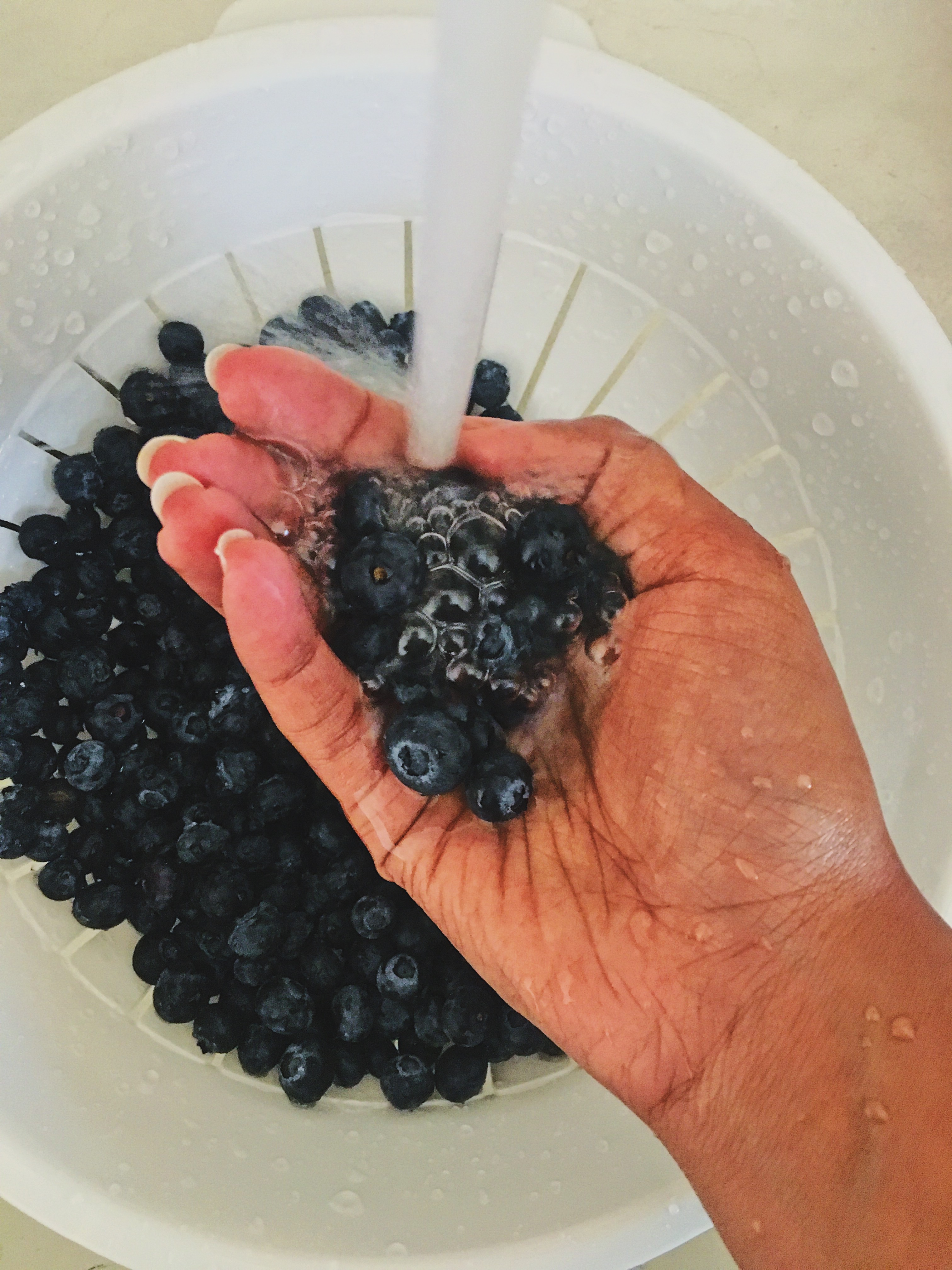 washing blueberries