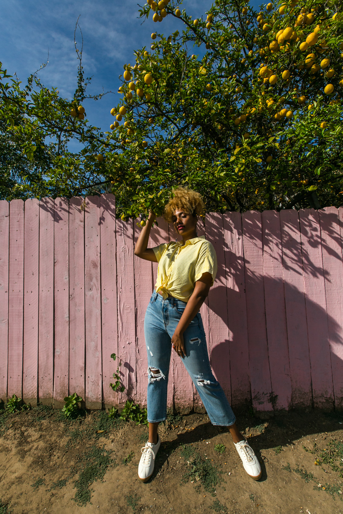lemon tree-shadow play-yellow shirt-model-wear who you are-h&m shirt-pink fence-levis wedgie fit jeans