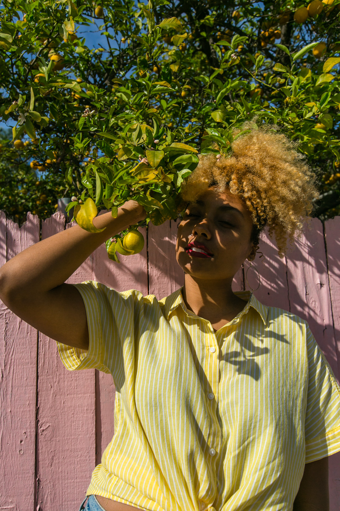 lemon tree-shadow play-yellow shirt-model-wear who you are-h&m shirt-pink fence