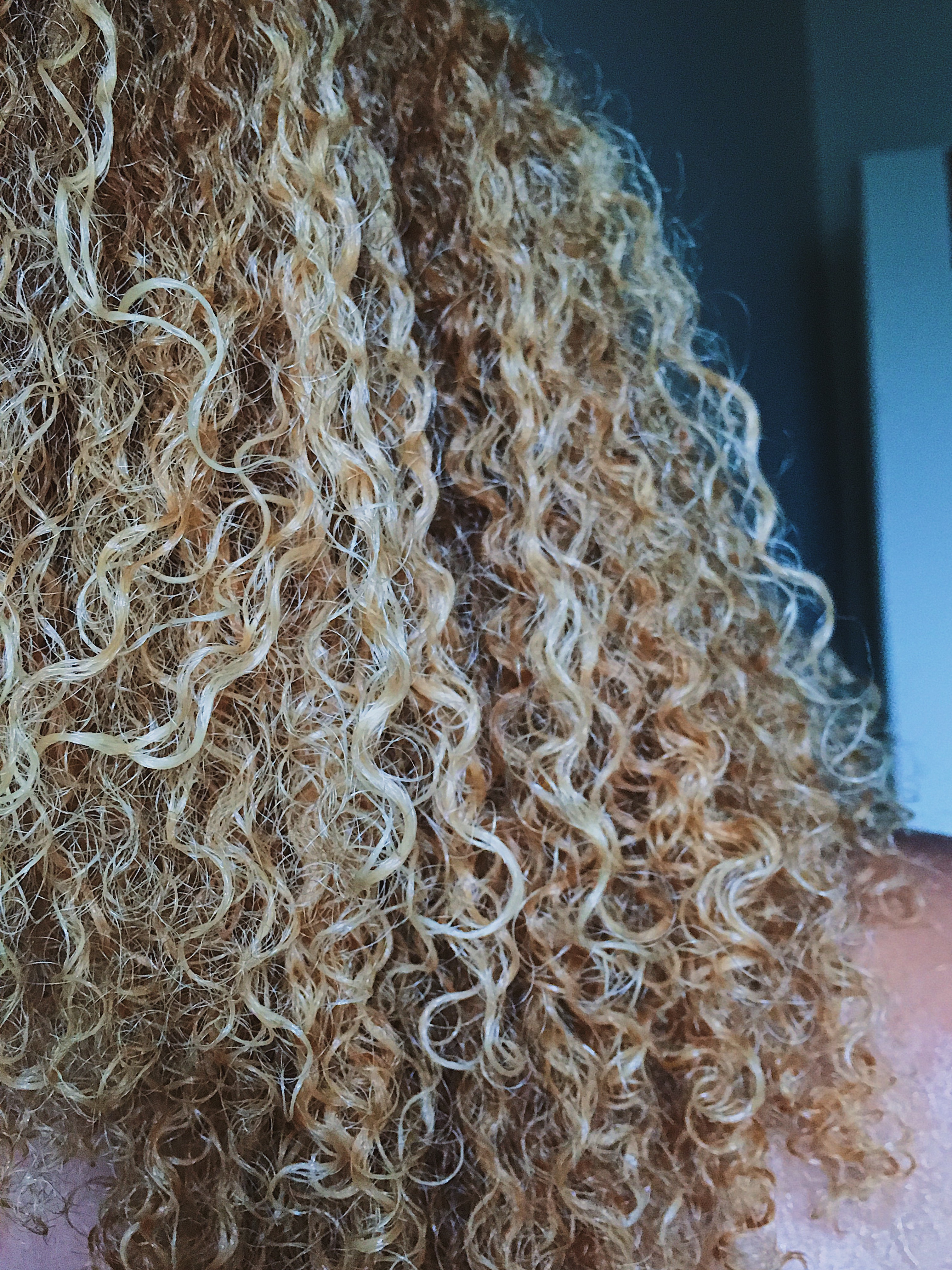 close up picture of blonde curly hair