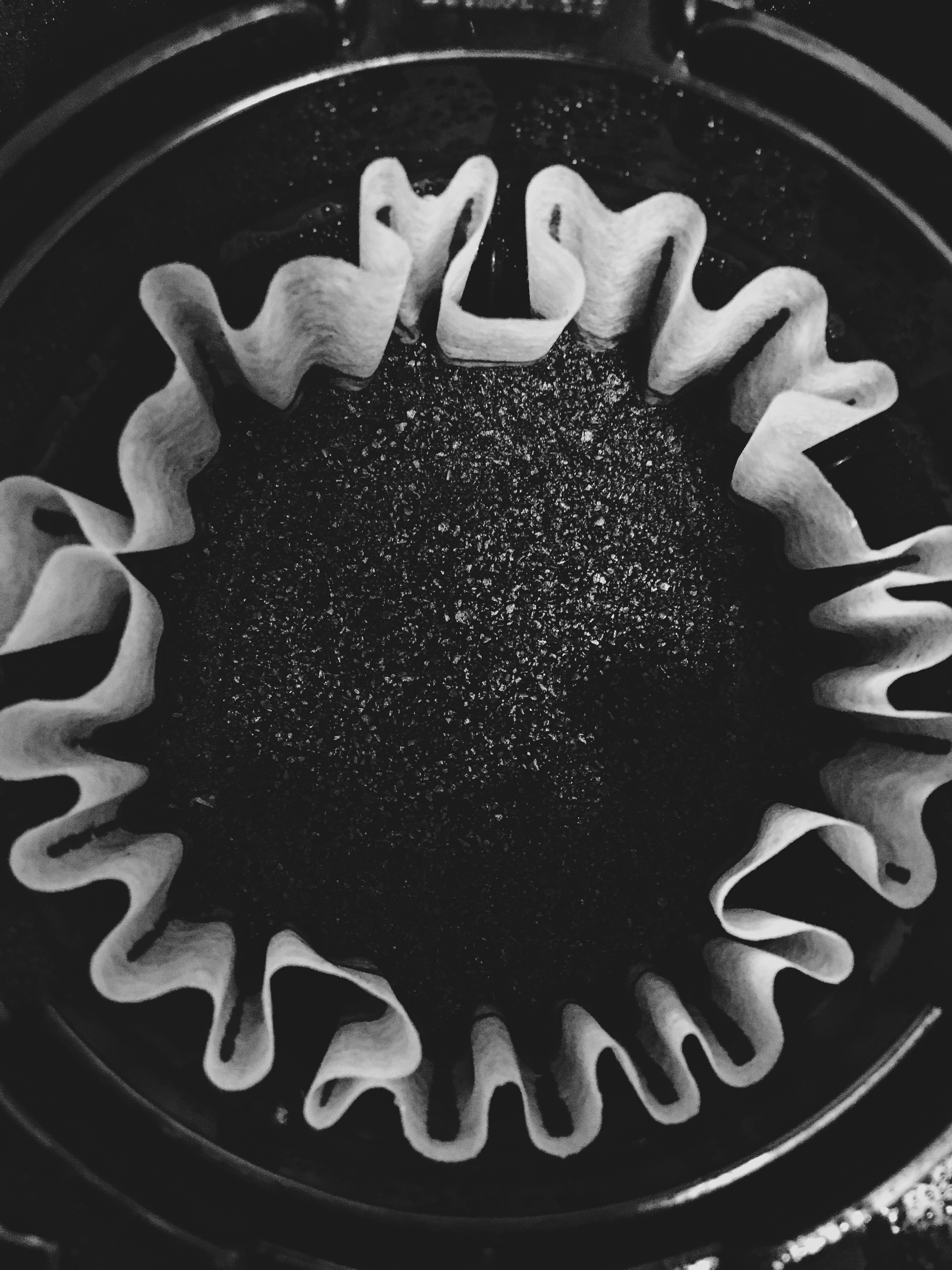 Coffee filter-7 days without coffe
