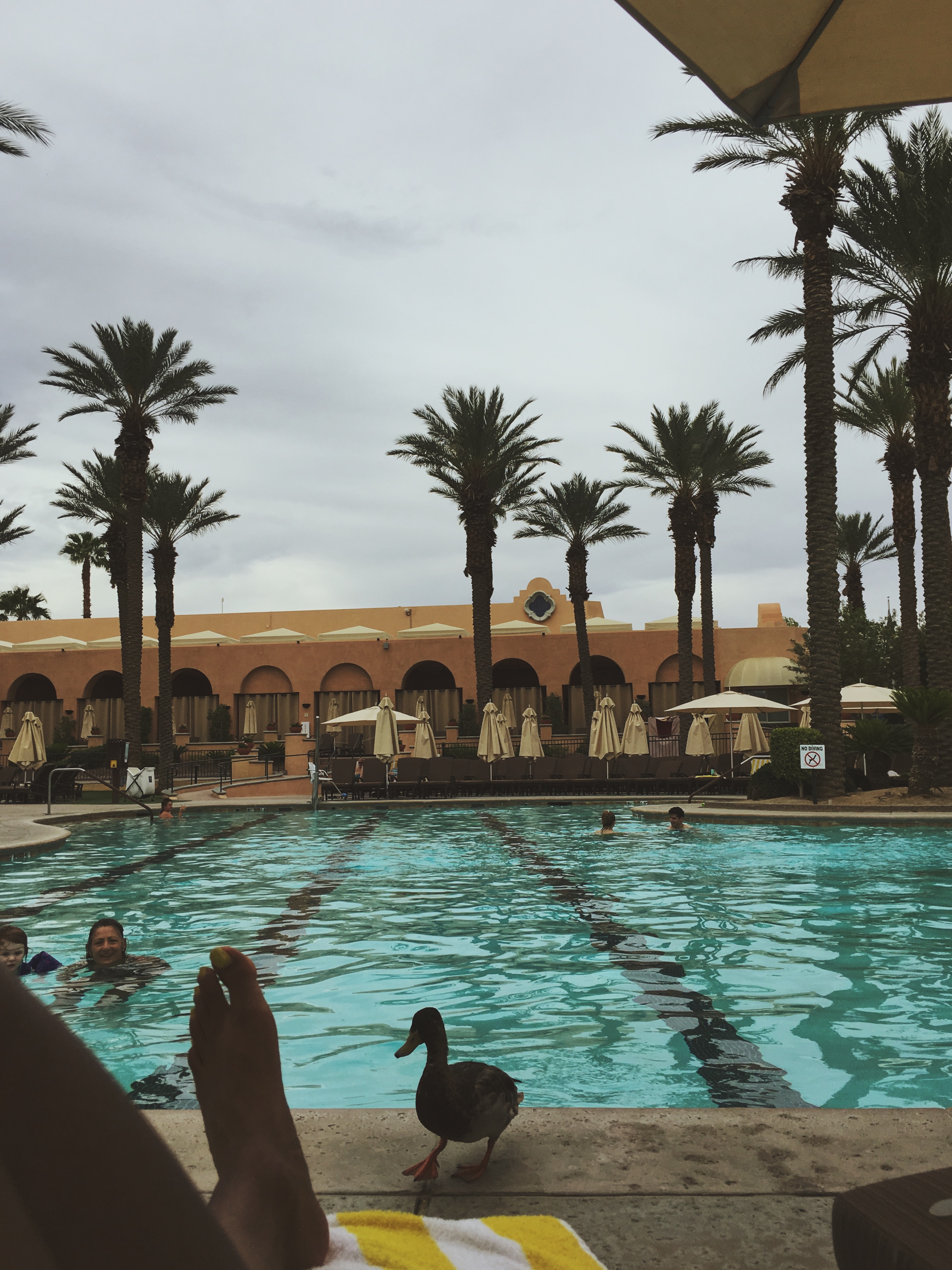 things to do in palm springs-the westin-pool