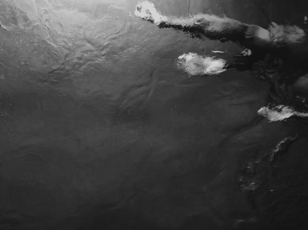swim-black and white photo
