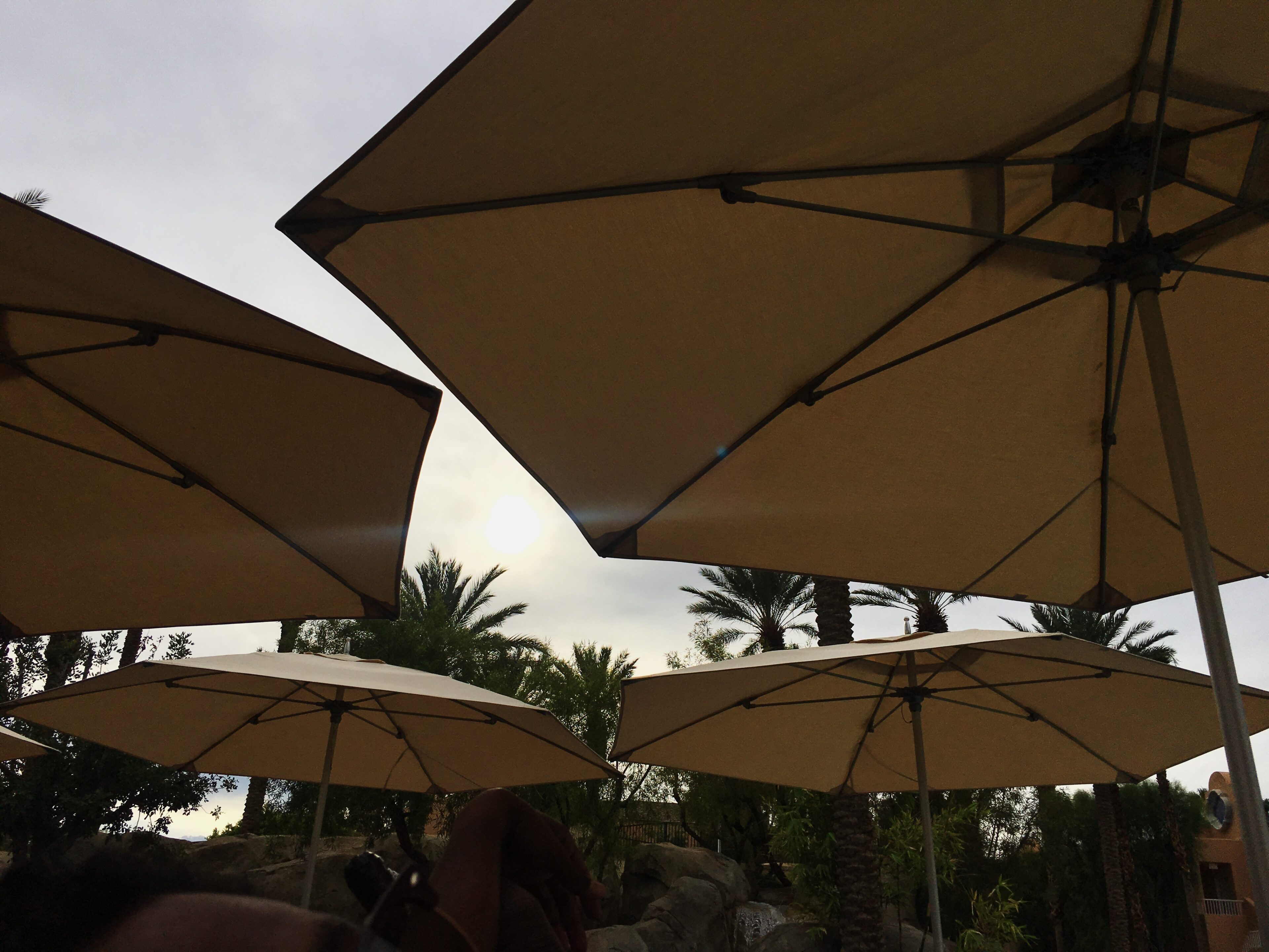 the westin-palm springs-umbrellas-poolside