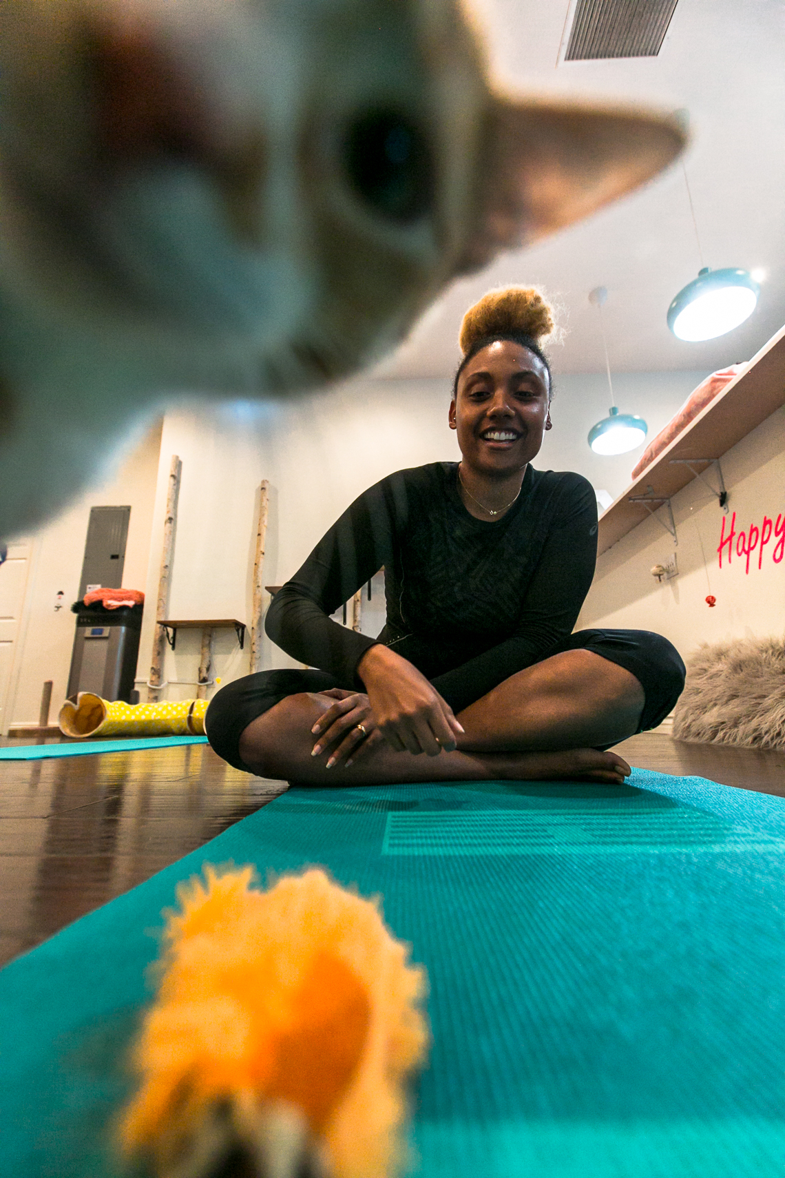 long beach-feline good social club-rsee-xmmtt-cats and mats yoga