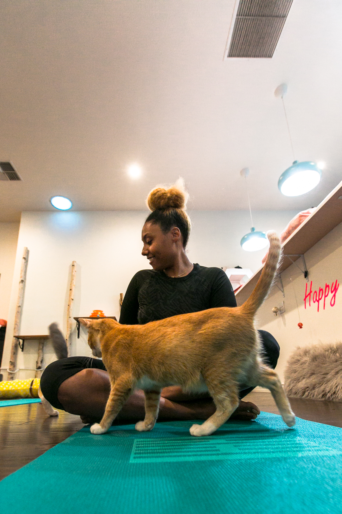 feline good social club-cat-yoga mat-rsee-xmmtt-lcm