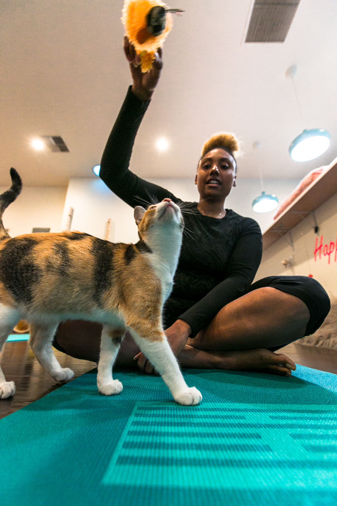 woman-cat-yoga mat-feline good social club-lcm-rsee-xmmtt-long beach